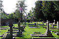 St Martin, East Horsley - Churchyard