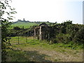 H8719 : Ruined homestead on the A25 (Castlewellan Road) in a drumlin landscape by Eric Jones