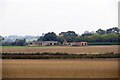 Derelict buildings near Twyford