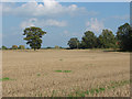 Stubble field near Hungry Hill