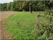 TQ0555 : Footpath to Grove Heath Lane by Alan Hunt