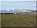 Field on Pentire Farm