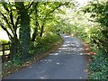 Lane next to River Avon at Badworthy Cottage