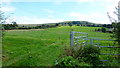 View to Standish Wood