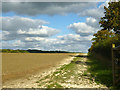 Farm track off Snowswick Lane