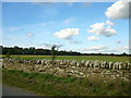 Dry stone walling