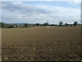 Farmland,  Dodworth Green