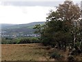 Llwybr Twynmynydd Path