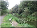 Hollinwood Branch Canal west of Bardsley Bridge