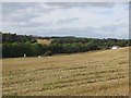 Stubble near Nether Newbigging