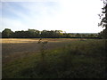 Field by Gambles Lane, Send Marsh