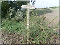 Signpost in a field near Weston Turville