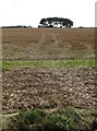 View to Walkington Wold Farm