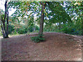 Burial Mound, Norsey Wood