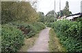 Footpath beside Cove Brook