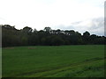 Farmland and woodland