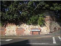 SO9390 : Boundary wall of former works, north corner of Parkway Road and Grange Road, Dudley by Robin Stott