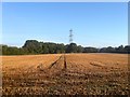 Cow Plots/Kiln Field