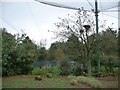 Inside the Africa enclosure, Lotherton Bird Garden