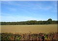 Hovel Field/Gate field