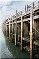 TQ8883 : Southend Pier, Southend-on-Sea, Essex by Christine Matthews