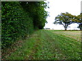 Footpath heads north to the South Downs Way