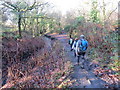 Llwybr Nant y Llechau Path