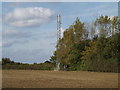 TL7248 : Telecommunications Mast off Buntry Lane by Geographer