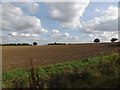 TL7248 : Farmland off Buntry Lane by Geographer