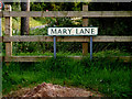 Mary Lane sign