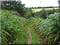 Maltby - footpath from war memorial to Wood Lee