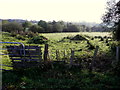 Killyneery Townland