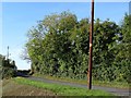 Sharp bend in the Loughinisland Road