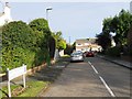 NZ3861 : West Moor Drive by Alex McGregor
