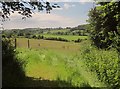 Farmland near Trenethick