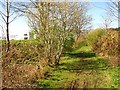 Ballachulish Branch trackbed