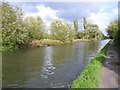 Paddington Arm of the Grand Union Canal near Horsenden Hill