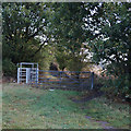 Bridleway towards Munsbrough Lane