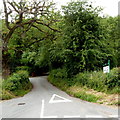 This way to Ty Croeso B&B, Dardy