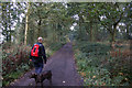 Rotherham Roundwalk in Rockingham Wood