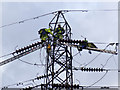 Transmission Tower maintenance