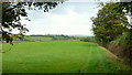 Pastoral West Gloucestershire