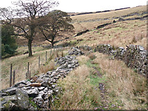 SK0098 : Footpath from Lees Hill by Stephen Burton