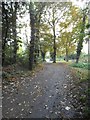 Path to Hendon Golf Club by Ashley Lane