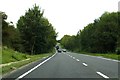 The A420 passes Ratcombe Copse