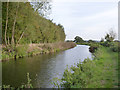 SK7288 : Chesterfield Canal near Clayworth by Alan Murray-Rust