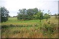 Countryside by the Harrogate Line