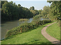 The Wilderness Lake at Porthcawl