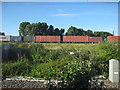 Container train at Nuneaton