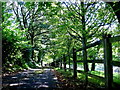 Private Driveway near Stoke Abbott